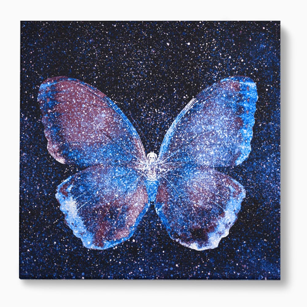 Tablou canvas cu tablou canvas cu fluture cosmic si stele, fara rama, pe sasiu de lemn